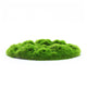 Penn-Plax Aqua-Flora Living Moss Patch Aquarium Ornament 2ea/One Size 030172050299