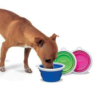 Fat Cat Silicone Travel Bowl - 1 Cup Tray {L + 1} 921042