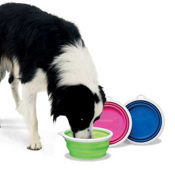 Fat Cat Silicone Travel Bowl - 3 Cup Tray {L+1} 921041 859328102824