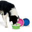 Fat Cat Silicone Travel Bowl - 3 Cup Tray {L + 1} 921041
