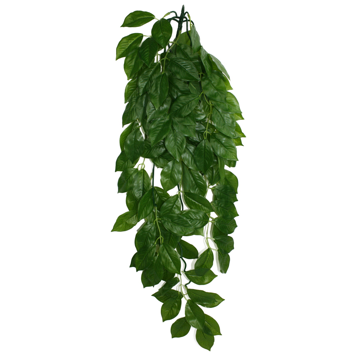 Komodo Green Leaf Hanging Plant Large, 26 in 784369933079