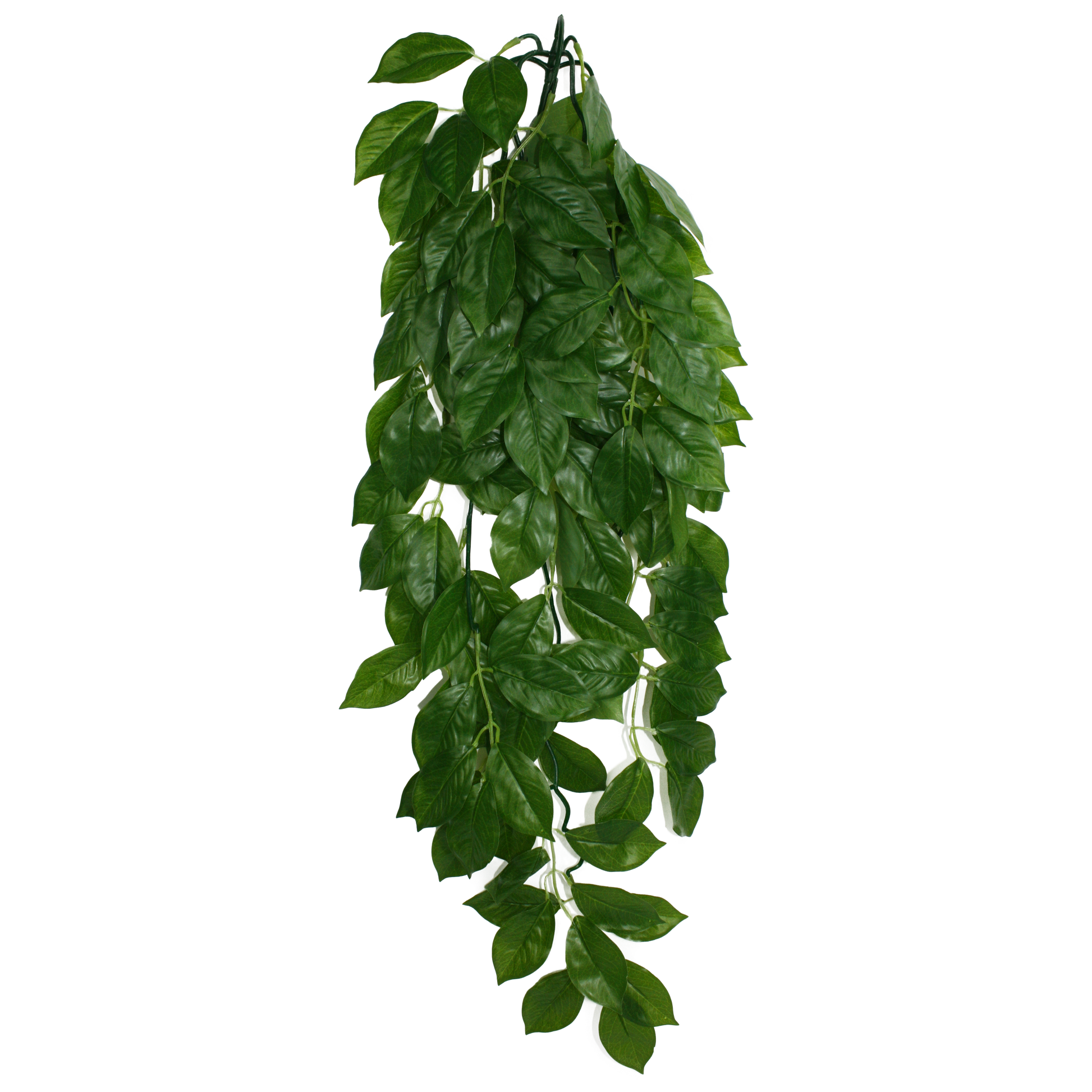 Komodo Green Leaf Hanging Plant Large, 26 in 784369933079