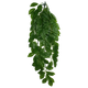 Komodo Green Leaf Hanging Plant Large, 26 in 784369933079