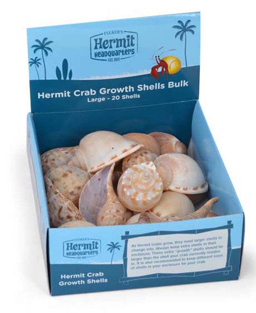 Fluker’s Hermit Crab Growth Shells Display Assorted 20pk LG - Reptile