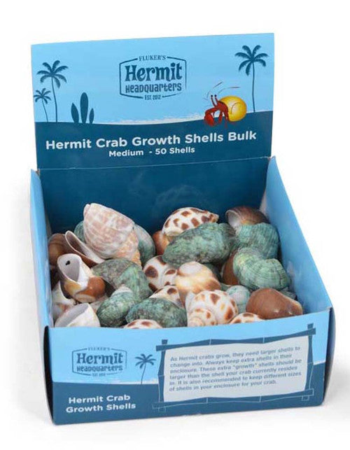 Fluker’s Hermit Crab Growth Shells Display Assorted 50pk MD - Reptile
