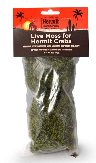 Fluker’s Hermit Crab Live Moss Green 0.5 oz - Reptile