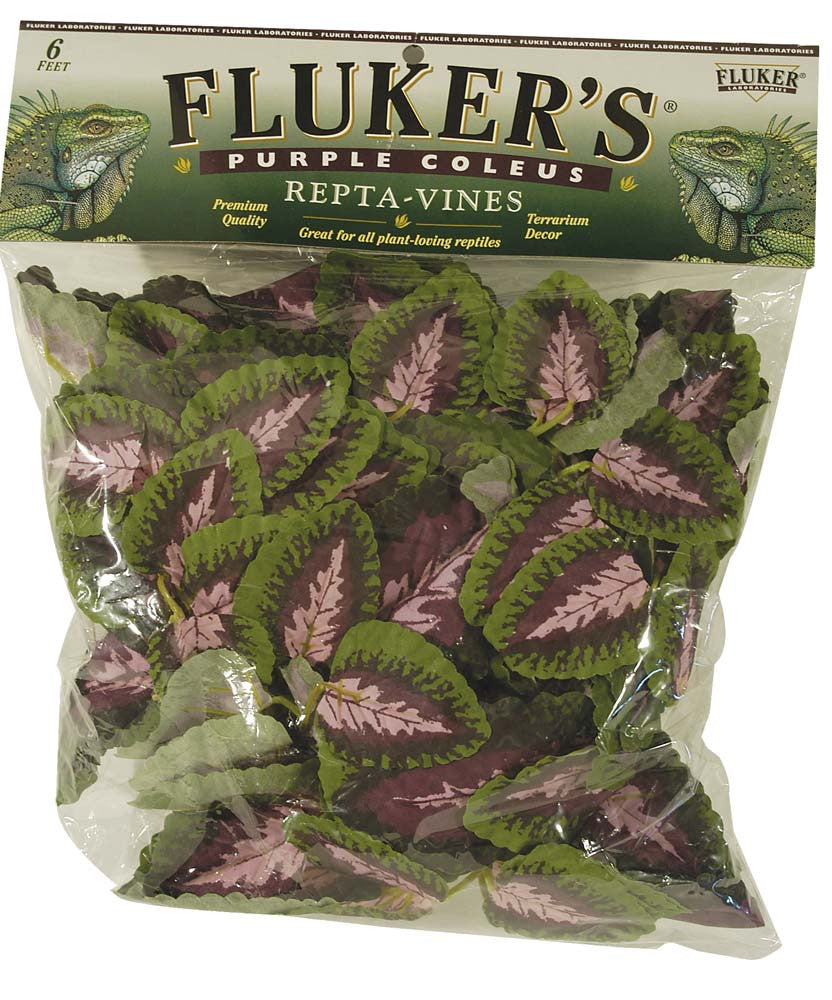 Fluker's Purple Coleus Repta-Vines Green, Purple 6 ft