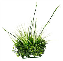 Fluval Chi Boxwood & Tall Grass Ornament 12193{L + 7} - Aquarium