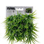 Fluval Chi Grass Ornament 12190{L + 7} - Aquarium