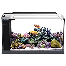 Fluval Evo V Marine Aquarium Kit 10528 015561105286