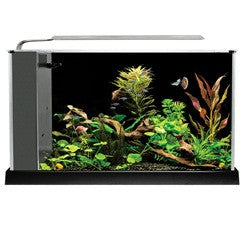 Fluval Spec V Aquarium 5 Gal 10516 015561105163