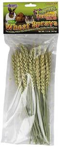 FM Brown Tropical Carnival Wheat Spray 1.5z {L + 1} 423206 (DD) - Bird