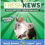 Fresh News Small Animal Litter 20 L 850357002420