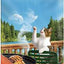 Friskies Tender & Crunchy Blend 16 lb. {L - 1} 050147 - Cat