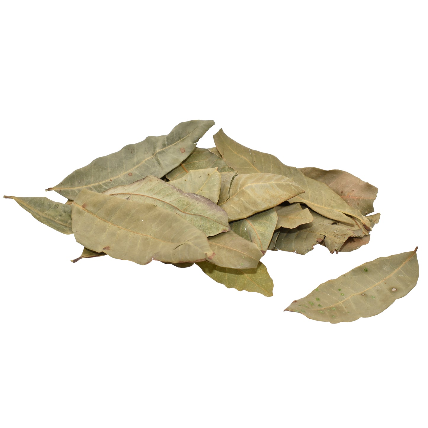 Komodo Dried Longan Leaves .98 oz 784369934304