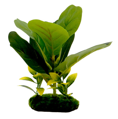 Blue Ribbon Pet Products Tropical Gardens Fiddle Leaf Aquarium Plant 8 in 030157021030