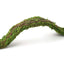 Galapagos Flexible Bridge Terrarium Ornament Fresh Green 2 ft - Reptile