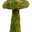 Galapagos Moss Mushroom Decorative Terrarium Ornament Fresh Green 11in SM (D)