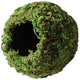 Galapagos Mossy Cave Terrarium Hideaway Fresh Green 4 in - Reptile