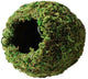Galapagos Mossy Cave Terrarium Hideaway Fresh Green 6 in - Reptile