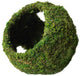 Galapagos Mossy Cave Terrarium Hideaway Fresh Green 8 in - Reptile
