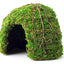 Galapagos Mossy Dome Terrarium Hideaway Fresh Green 6 in - Reptile