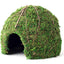 Galapagos Mossy Dome Terrarium Hideaway Fresh Green 9 in - Reptile