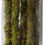 Galapagos Mossy Sticks Terrarium Ornament Fresh Green 32 in 6 Count - Reptile