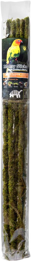 Galapagos Mossy Sticks Terrarium Ornament Fresh Green 32 in 6 Count