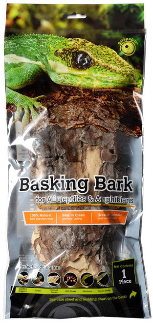 Galapagos Natural Basking Bark Green Brown 12 in - 15 Reptile