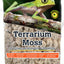 Galapagos Natural Reindeer Moss Bedding Substrate Tan 2.6 qt Mini - Reptile