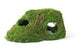 Galapagos Sapa Corner Hide Terrarium Hideaway Fresh Green 10 in - Reptile