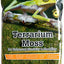 Galapagos Sheet Moss Decorative of Real Substrate Fresh Green 2.6 qt Mini - Reptile
