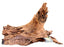Galapagos Sinkable Driftwood Brown 3 - 6in XS - Aquarium