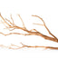 Galapagos Staghorn Wood Manzanita Branch Brown 13 Inches - 18 Inches