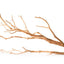 Galapagos Staghorn Wood Manzanita Branch Brown 13 Inches - 18 Reptile