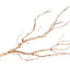 Galapagos Staghorn Wood Manzanita Branch Brown 19 in - 24 in