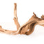 Galapagos Staghorn Wood Manzanita Root Brown 13 in - 18 Reptile