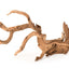 Galapagos Staghorn Wood Manzanita Root Brown 19 in - 24 in
