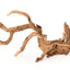 Galapagos Staghorn Wood Manzanita Root Brown 19 in - 24 Reptile