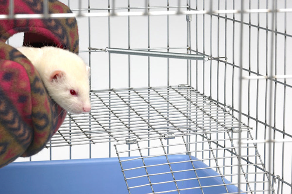 Marshall Pet Products Corner Deterrent Springs for Ferrets 4 pk 766501002201