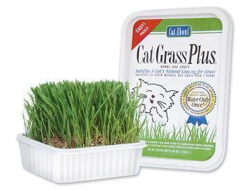 Gimborn Gimpet Cat Grass 150g {L + 1} 731073