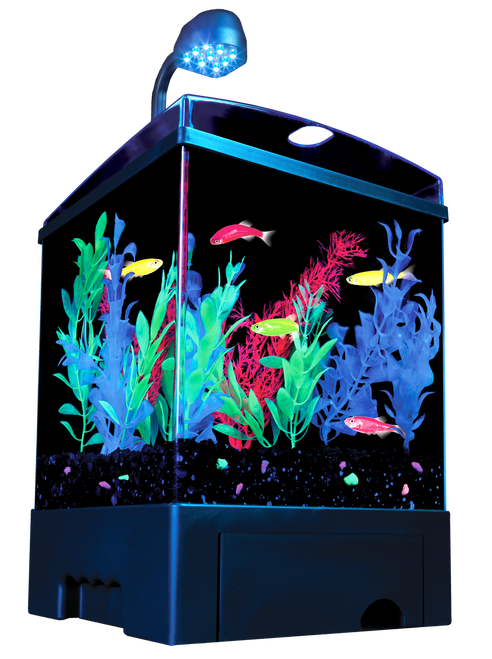 GloFish Aquarium Kit Black Clear 1.5 gal