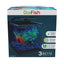 GloFish Betta Glass Aquarium Kit Black Clear 3 gal