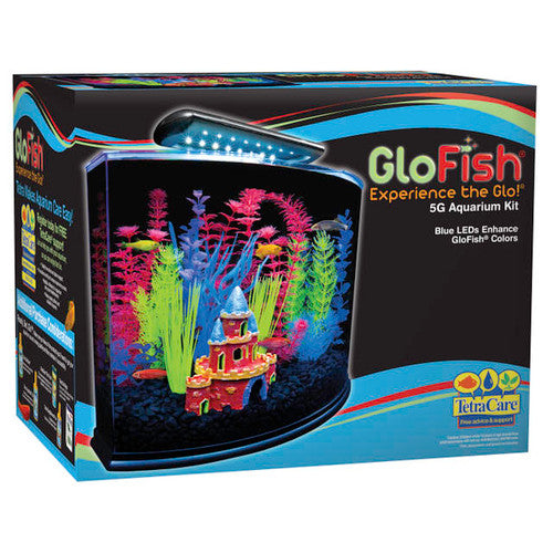 GloFish Cresent Aquarium Kit Black Clear 5 gal