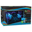 GloFish Glass Aquarium Kit Black Clear 10 gal