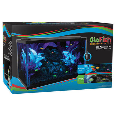 GloFish Glass Aquarium Kit Black Clear 10 gal