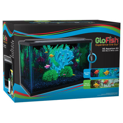 GloFish Glass Aquarium Kit Black Clear 5 gal