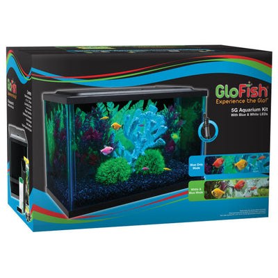 GloFish Glass Aquarium Kit Black, Clear 5 gal