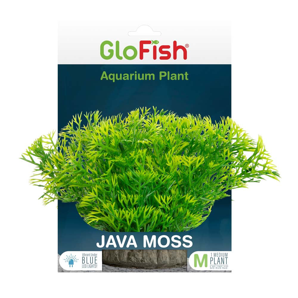 GloFish Java Moss Aquarium Plant Green MD